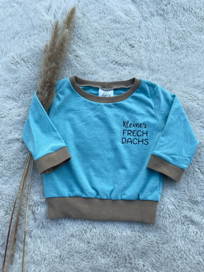 Baby Oberteil / Kinder Shirt / kleiner Frechdachs / Einzelstück & Handmade